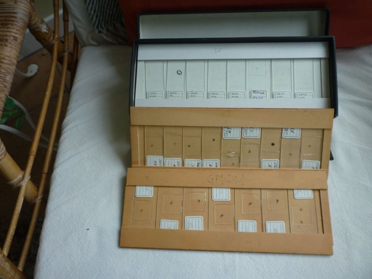 collectables microscope slides