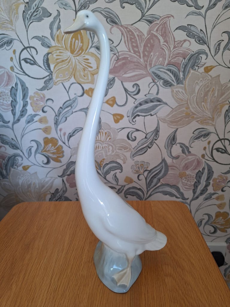 image for long neck swan