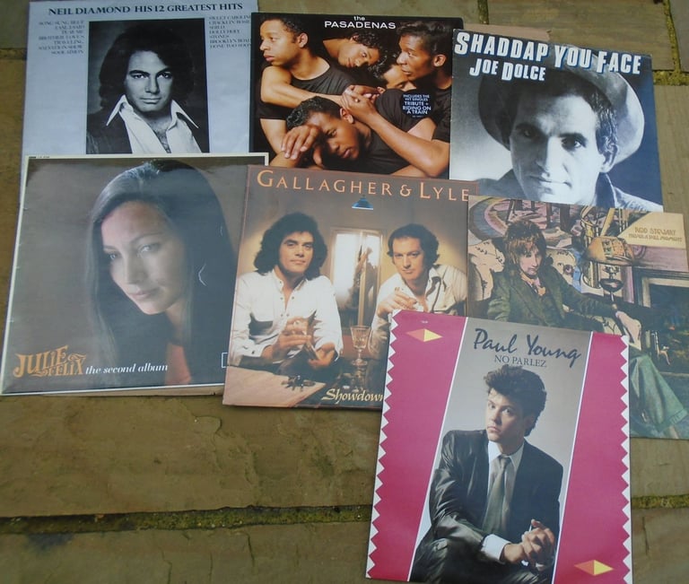 image for JOBLOT OF VINYL ALBUMS . LOT B 20 ALBUMS FOR £20.00