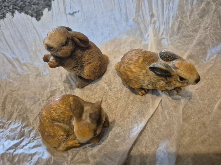 Collection of rabbits