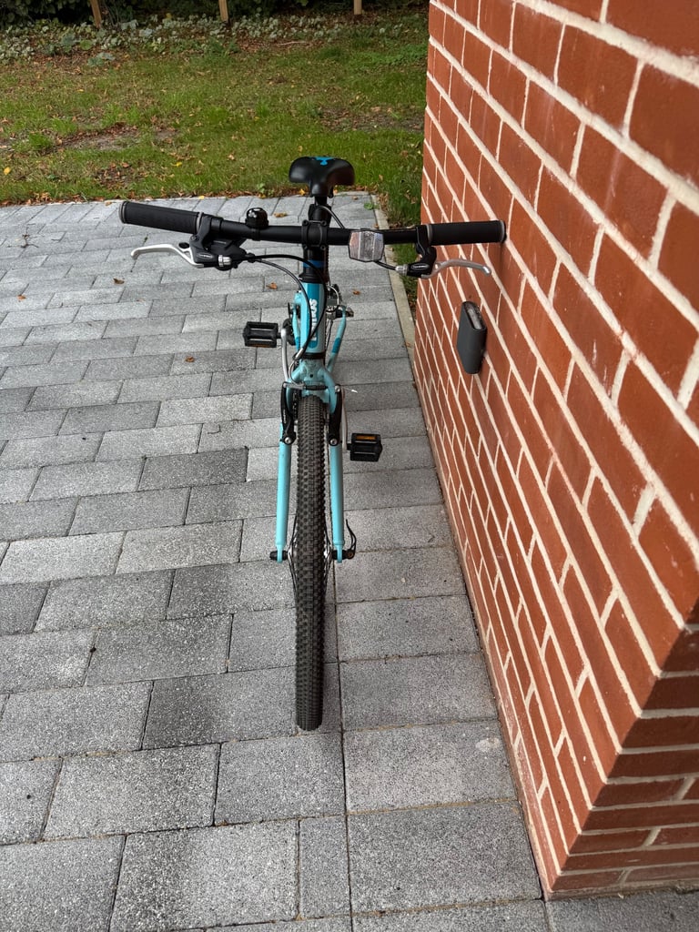 Squish 24 inch bike