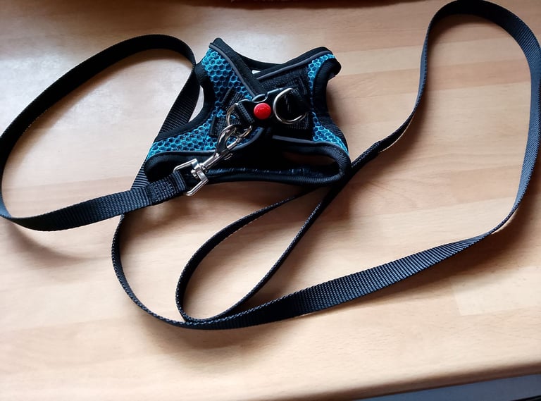 image for New XS Cat Harness with Lead