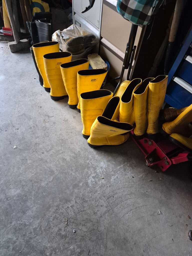 image for Safety wellington boots 