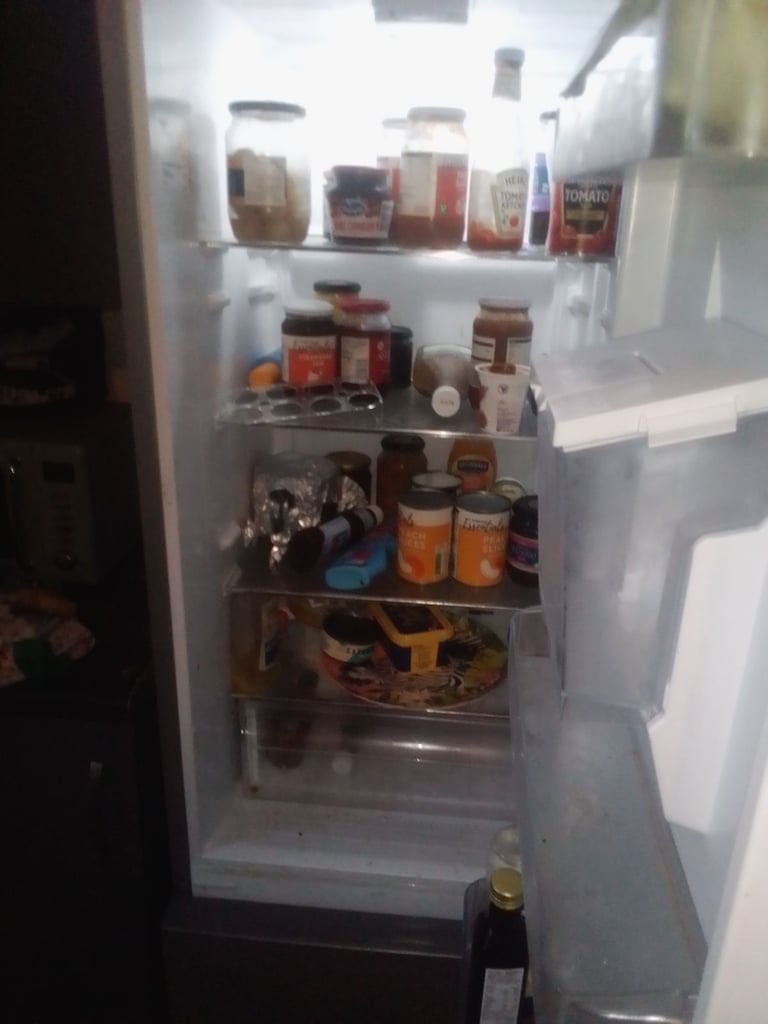 Bush fridge freezer 