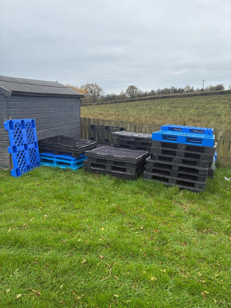 Plastic pallets | in Maguiresbridge, County Fermanagh | Gumtree