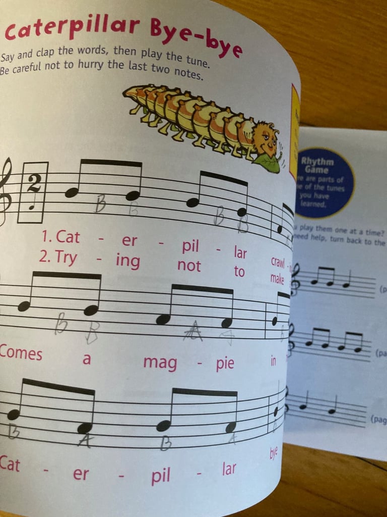 New recorder and used book