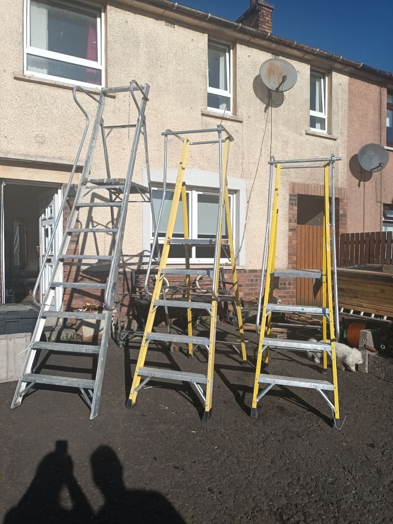 image for Platform step ladders with saftey bars and rails