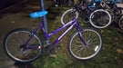 Purple MTB Universal