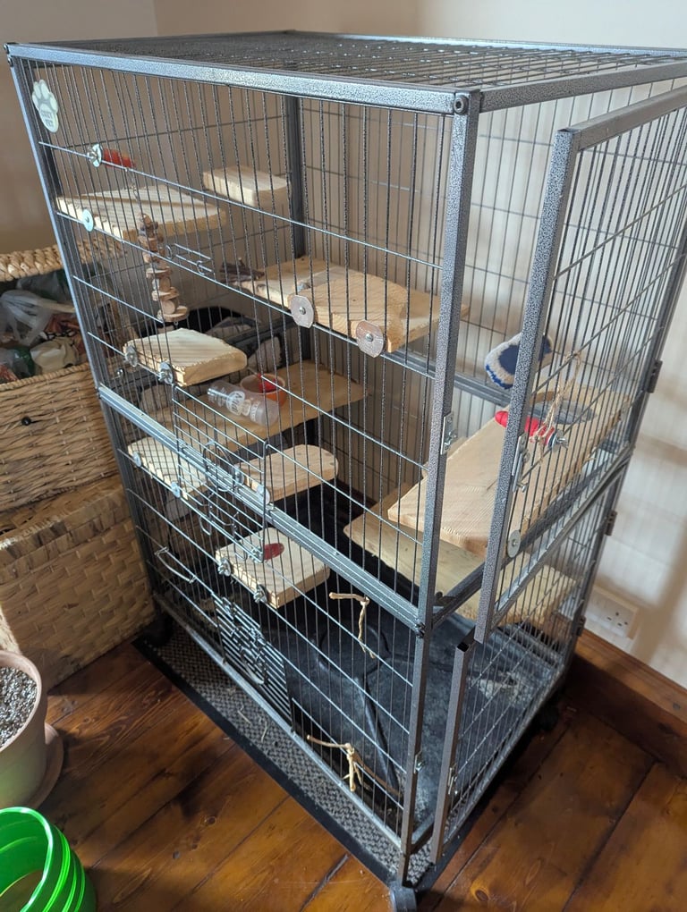 image for Chinchilla or degu cage