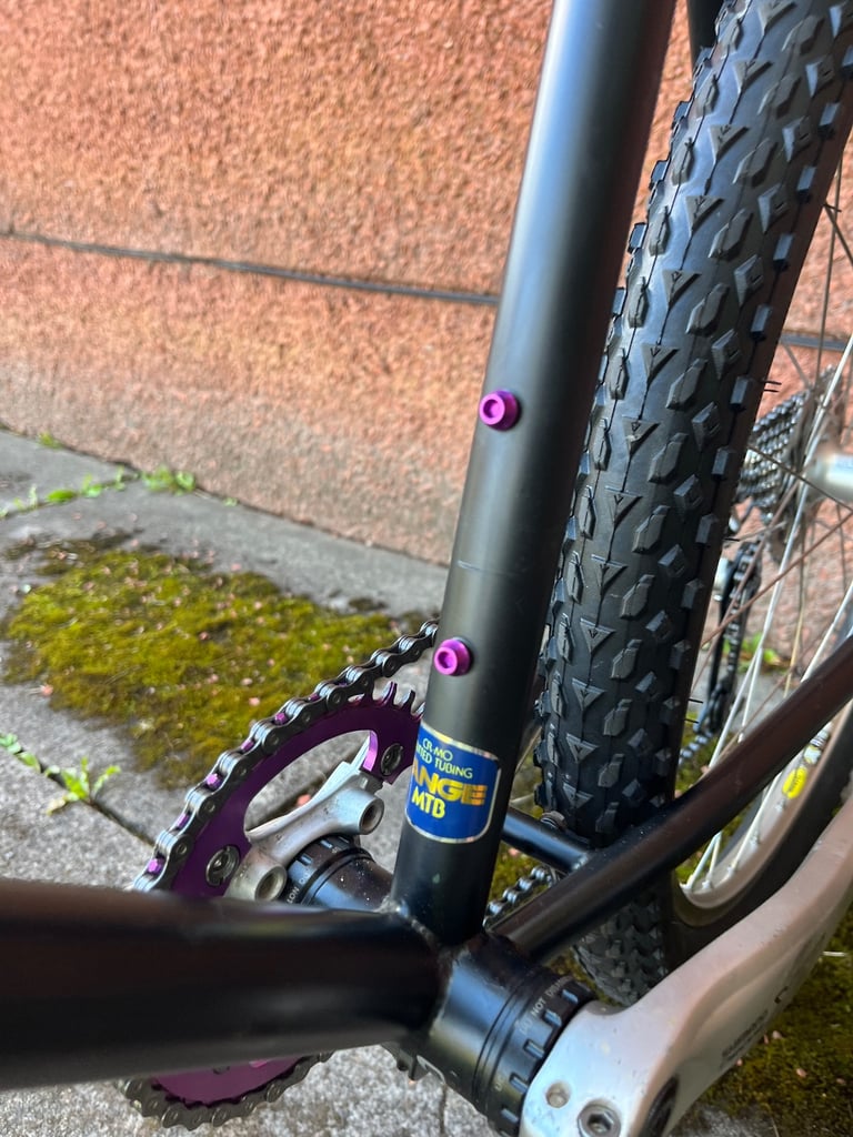 Fully Serviced Retro Marin Bear Valley SE restomod