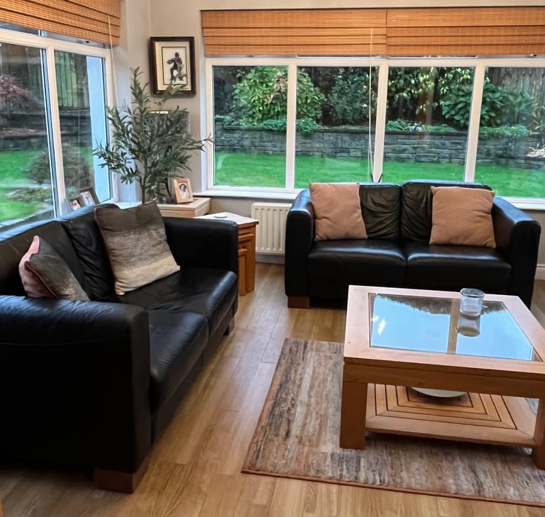 Leather Sofas and Chair