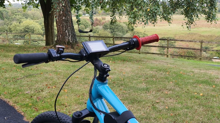 (600 if gone TODAY) 48V 2000W ebike , electric bike (mountain bike)
