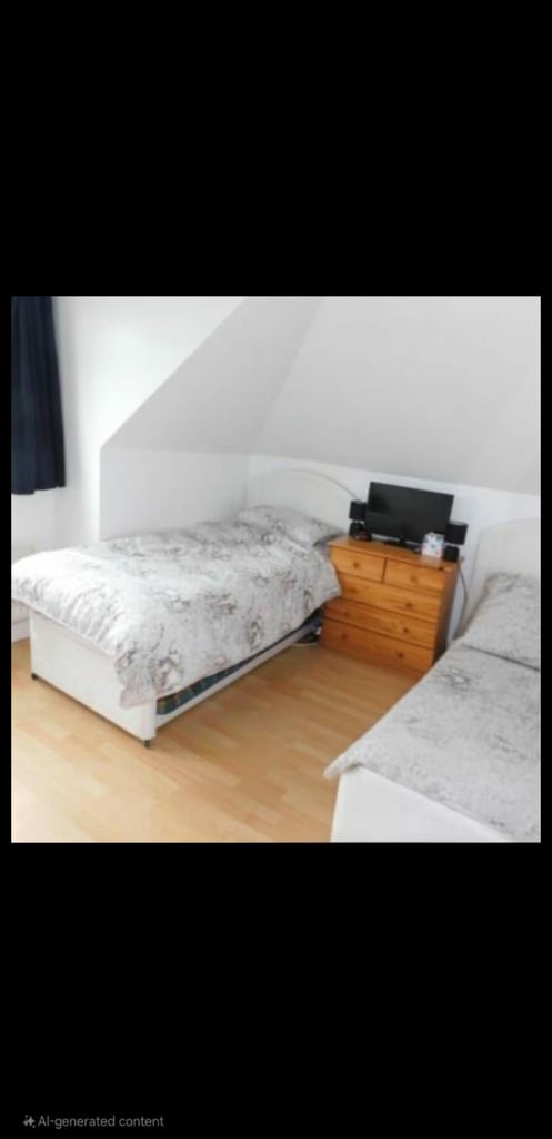 Lodger wanted - professional