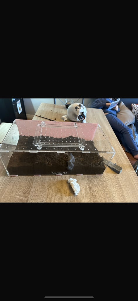 Xl terrestrial mantis ni enclosure 