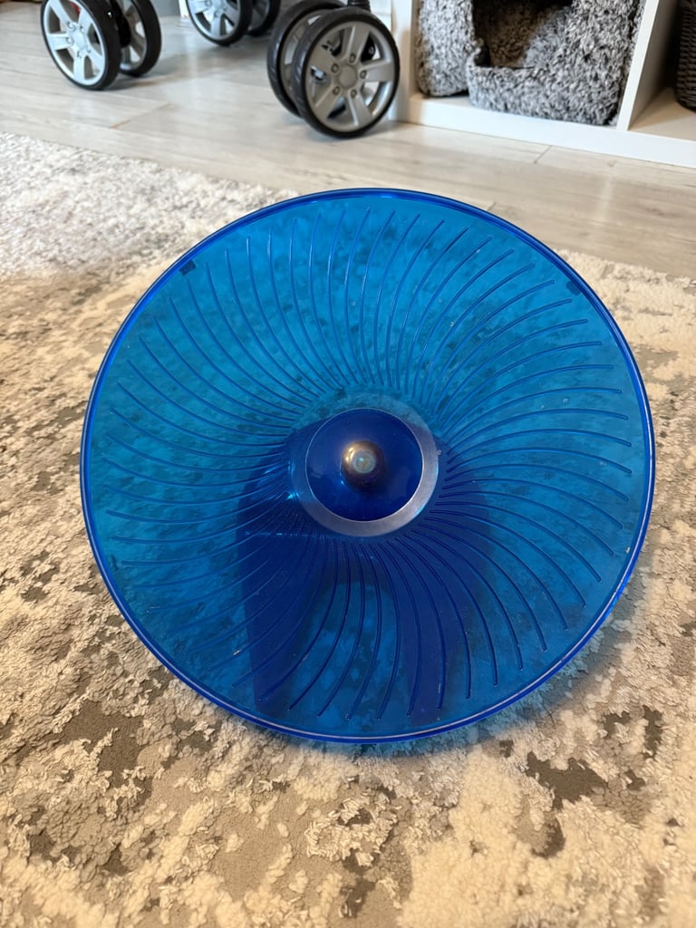 Flying saucer hamster 