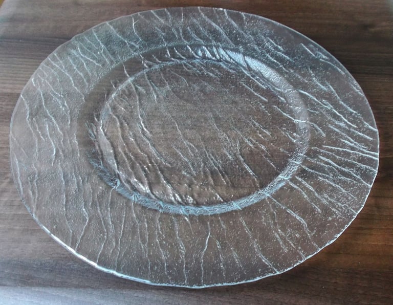 12 Large Almost Flat Glass Arcoroc Professional Quality Contemporary Dinner Plates.