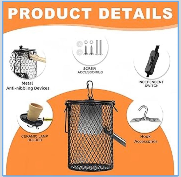 Healthy 1.5-Year-Old Male Ball Python