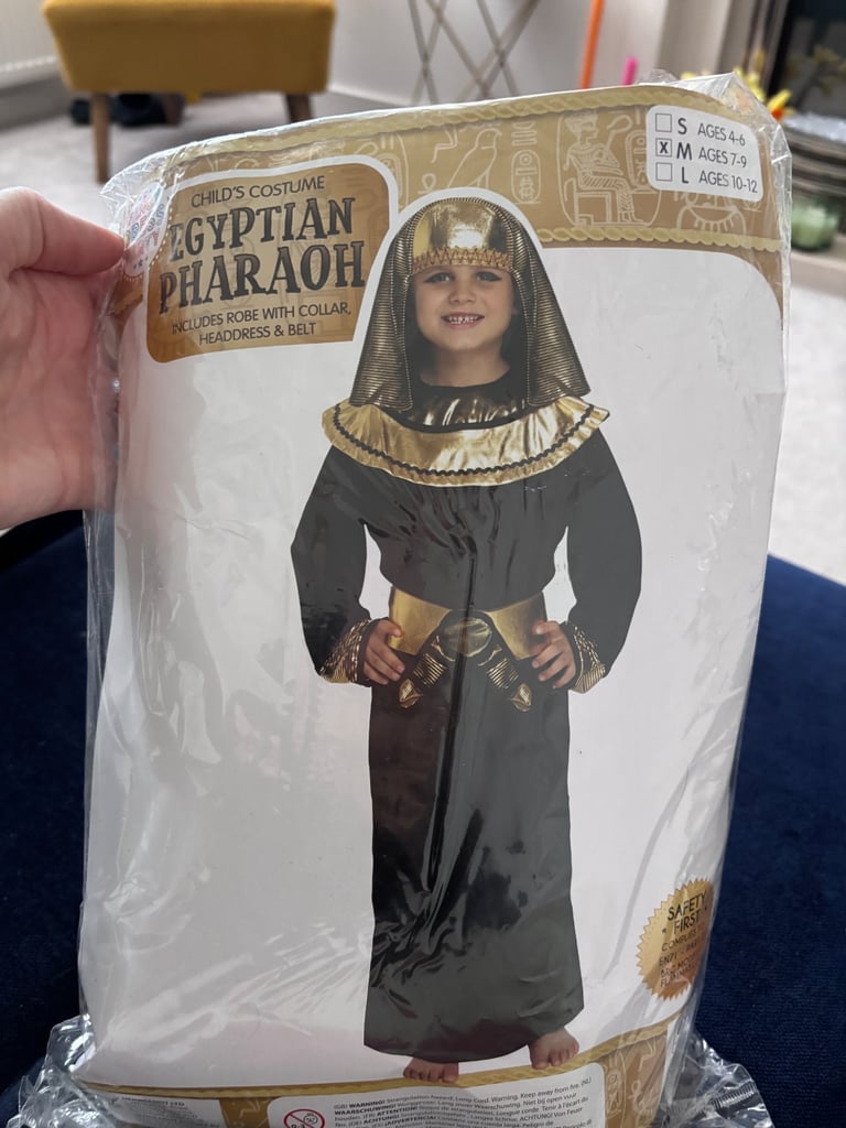 image for Age 7-9 Kids Egyptian Pharaoh Costume