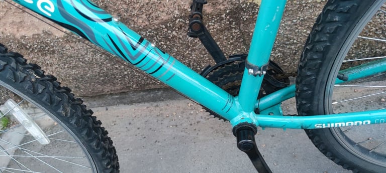 Bicycle (adult bike)