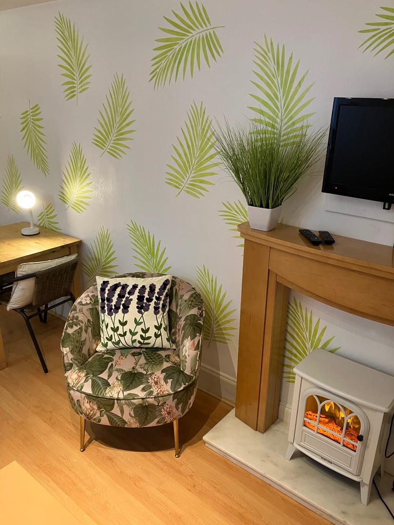 Flat for rent Edinburgh City Centre £1350 inc. gas and electric 