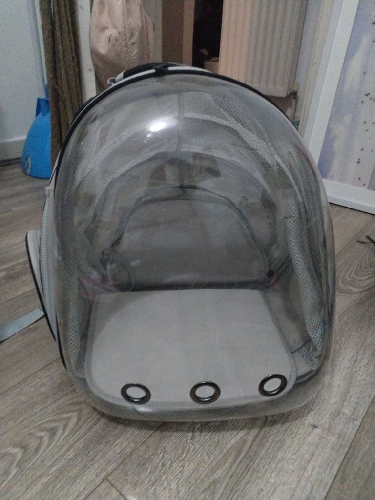 Cat Backpack *collect only* 