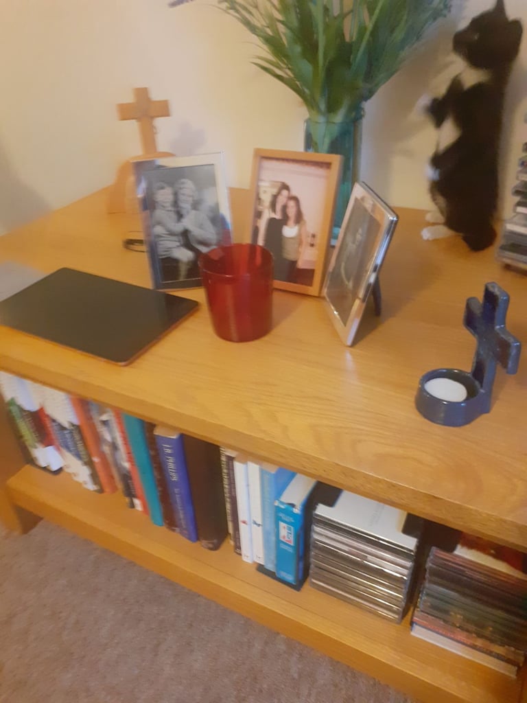 Pretty Tuxedo Kitten Looking For Love