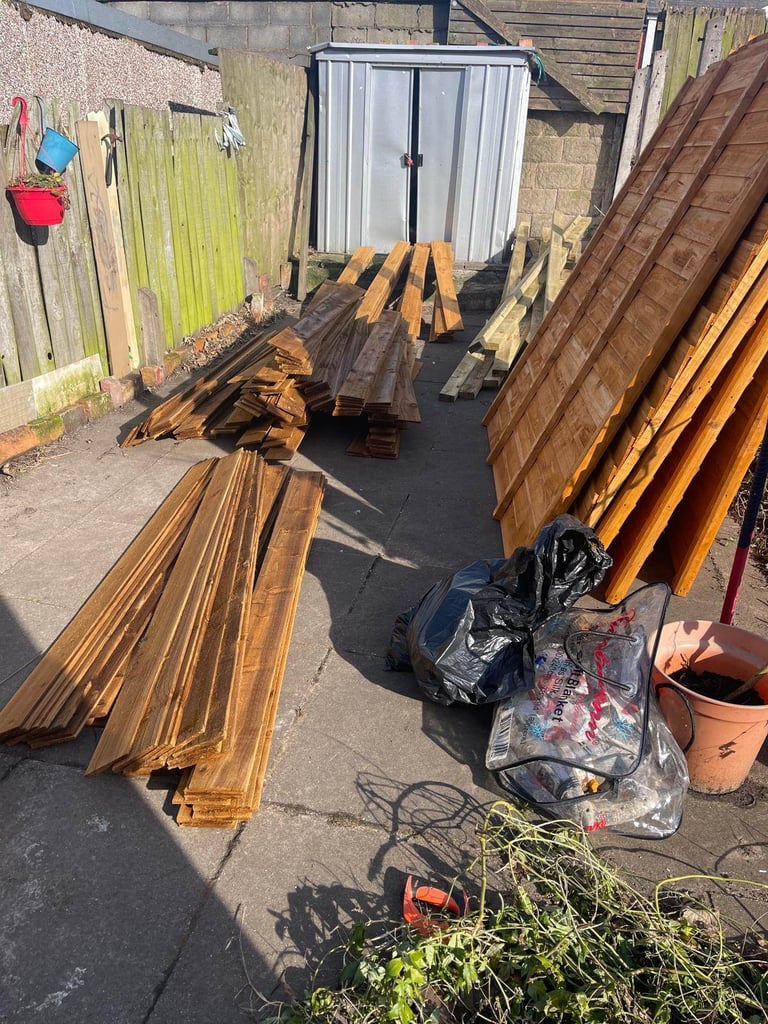 Tree surgeon and hedge fence and painting 