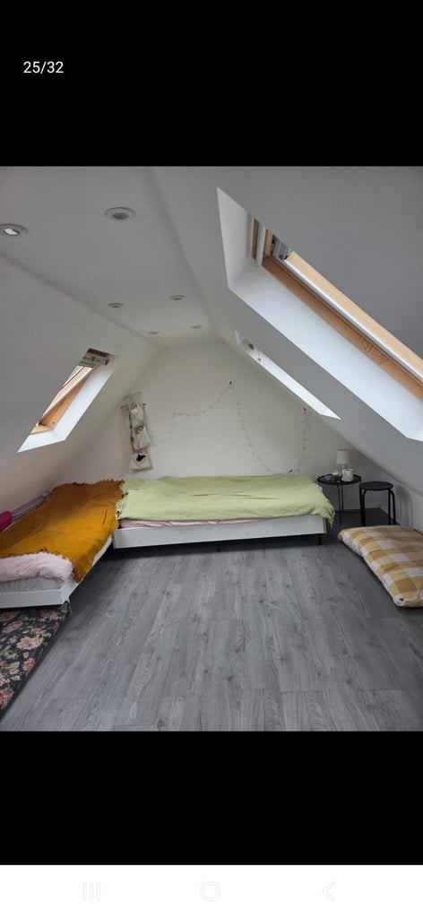 TENANT MUST BE BIG DOG FRIENDLYRoom to Rent eith nice office 