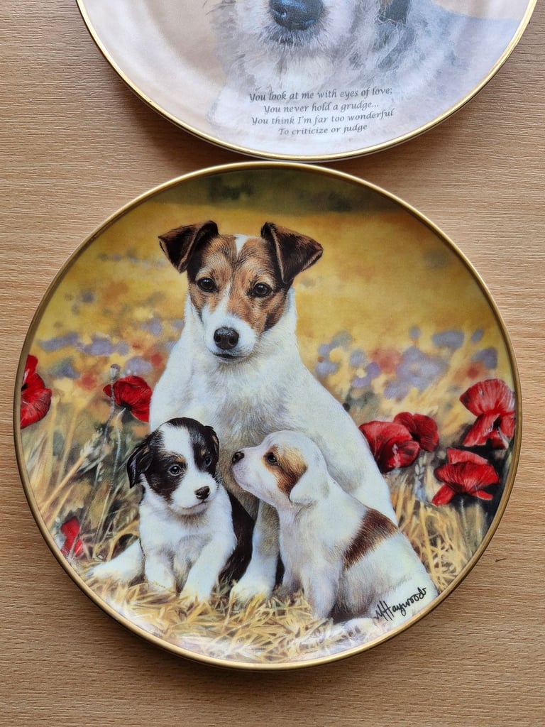5 china plates with Jack Russells.