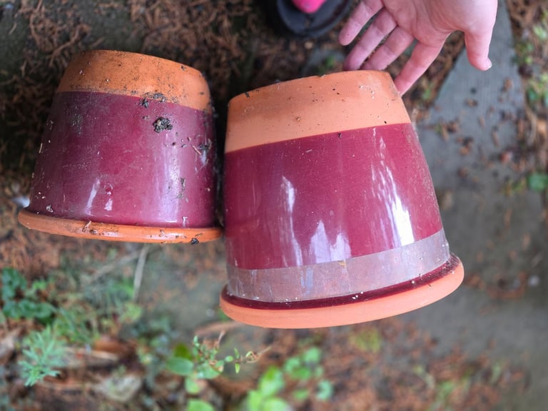 image for 4 terracotta pots