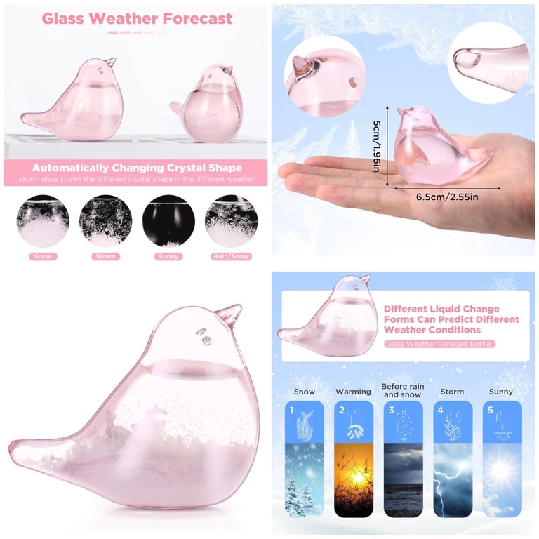 Bird Robin Barometer Storm Glass Weather Forecaster Station Predictor In Pink 