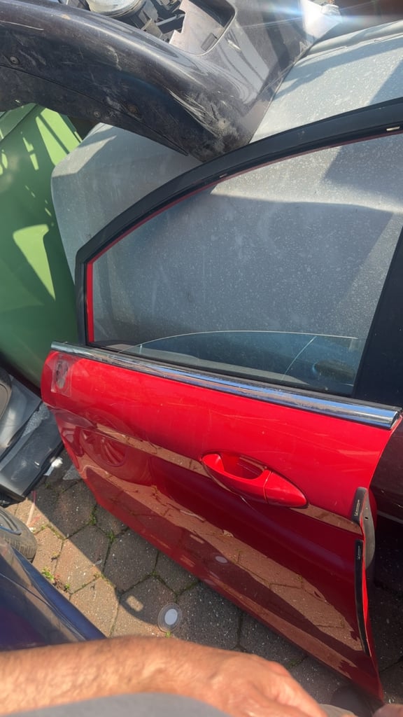 Ford fiesta front passenger side door 