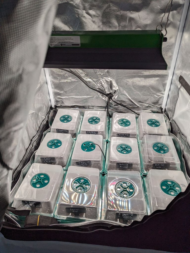 2 x Grow lights and 1x tent VIPARSPECTRA P1000, P600 + 2 free seedling heat mats!