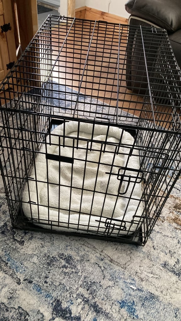 Small dog cage with liner