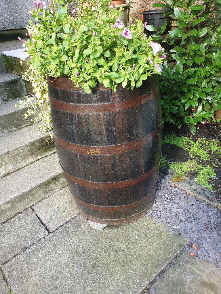 image for Full sized whiskey barrels 