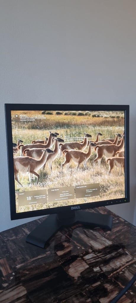 image for Dell 1908fpb 19'' Lcd Flat Screen Monitor