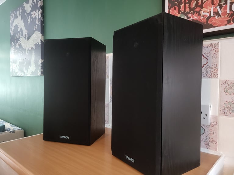 Large tannoy loudspeakers 