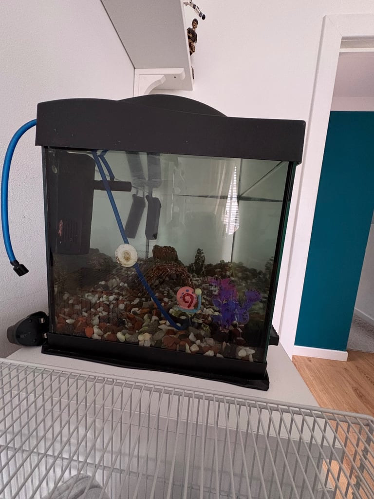 Tetra fish aquarium tank and accessories 
