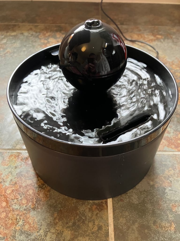 image for Cat drinking fountain