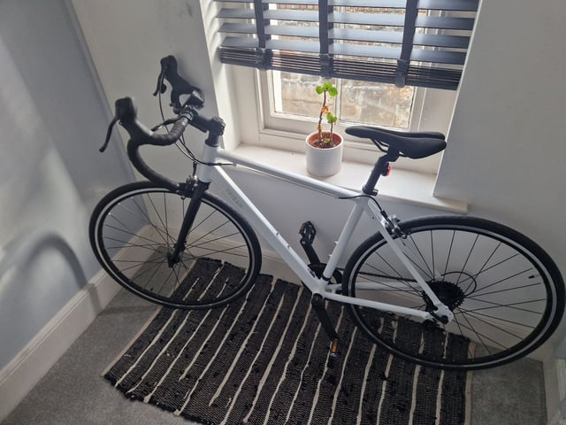 VAN RYSEL Women's road bike triban rc 120 white, size S in