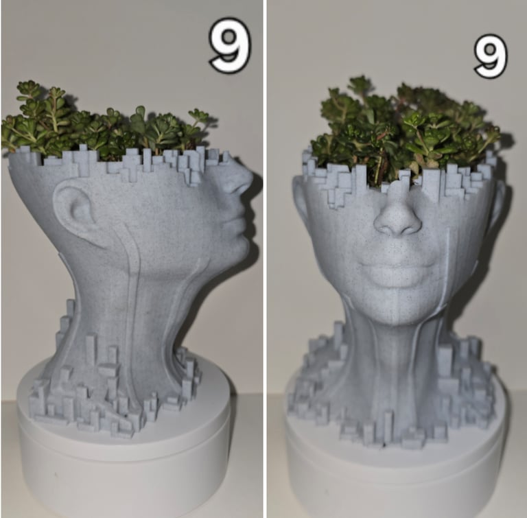 Handcrafted 3D-Printed Marble Effect Plant Pots with Live House Plants