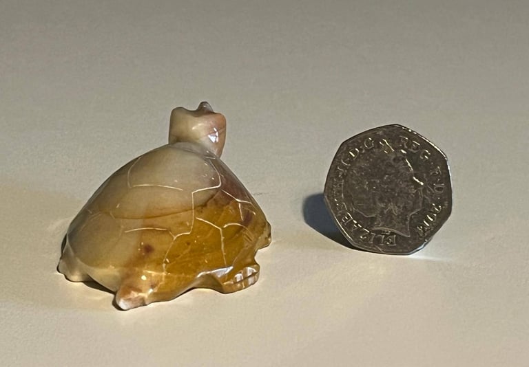 Oynx  / Marble Collectable Turtle