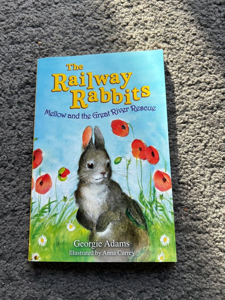 The railway rabbit series