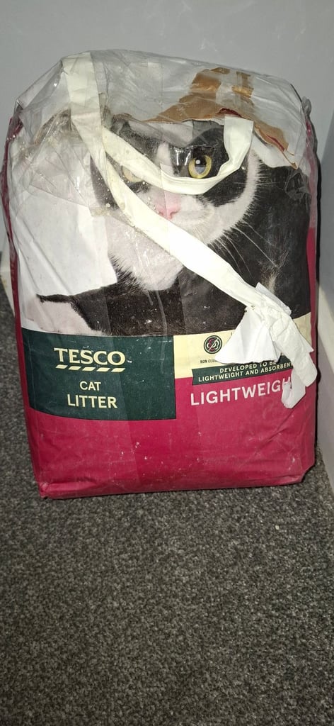 image for Full bag cat litter