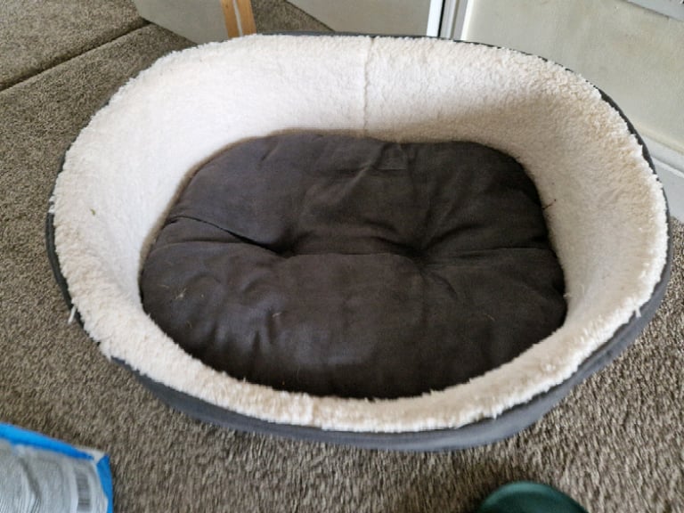 Dog bed and accessories 