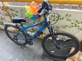 Adult bike