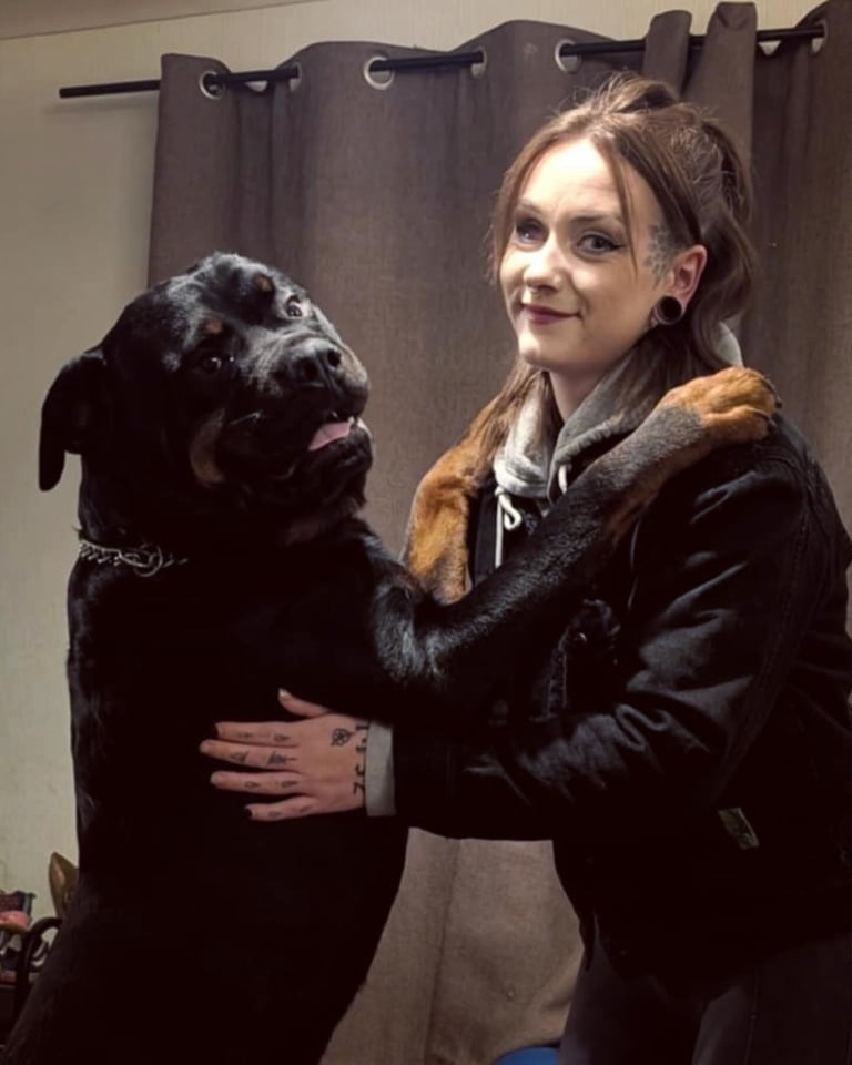 Rusty the Rottweiler 