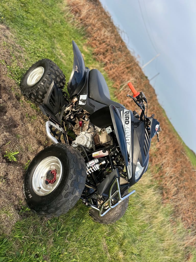 Quadzilla 320cc road reg