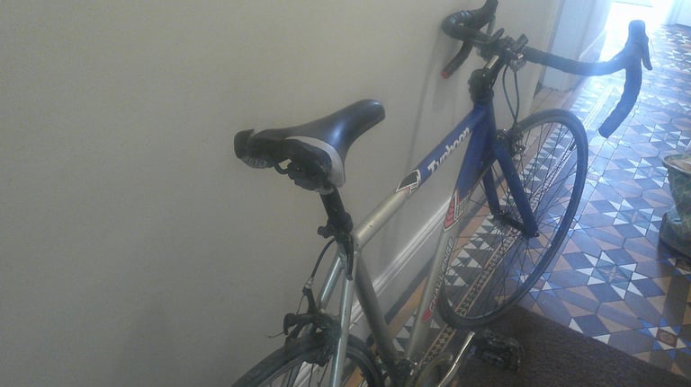 typhoon challenge raleigh bike for sale 
