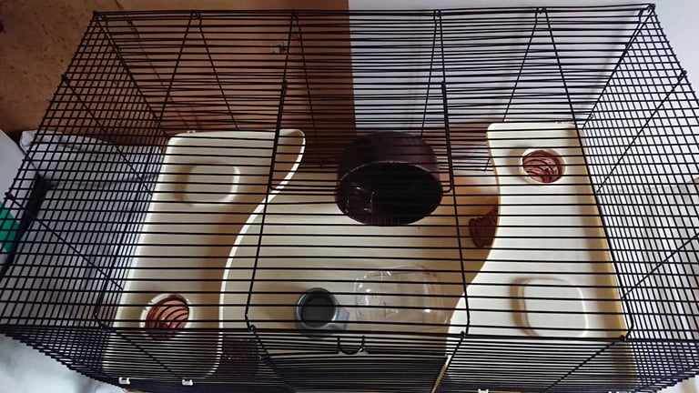 Large hamster cage plus accessories 